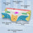 Ergonomic Butterfly Neck Support Memory Foam Pillow