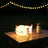 Axolotl Silicone Rechargeable Squishy Ambient Lamp with Tap Control & Sleep Timer