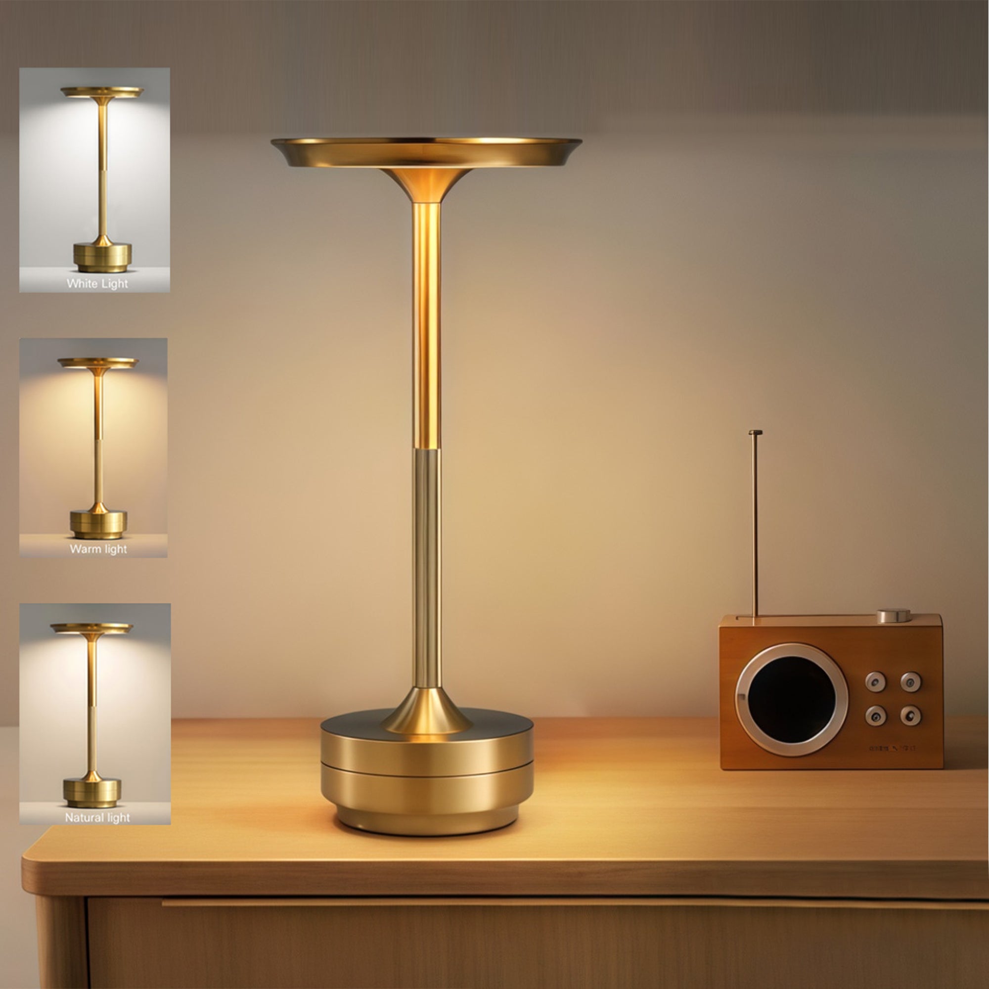Elegant Rechargeable Dimmable Metal Touch LED Cordless Table Lamp